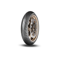 PNEU DUNLOP 160/60R17 69W...
