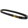 COURROIE VARIATION TRIPLE S 795 x 19 mm, HONDA VISION 110