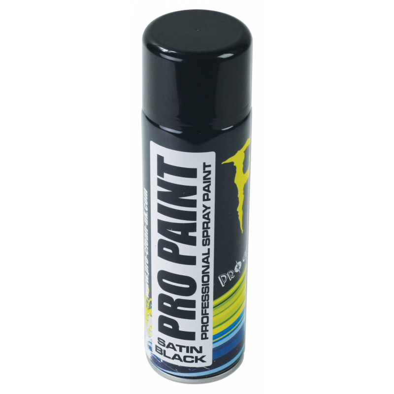 PRO PAINT PEINTURE PROFESSIONNELLE NOIR SATINÉ