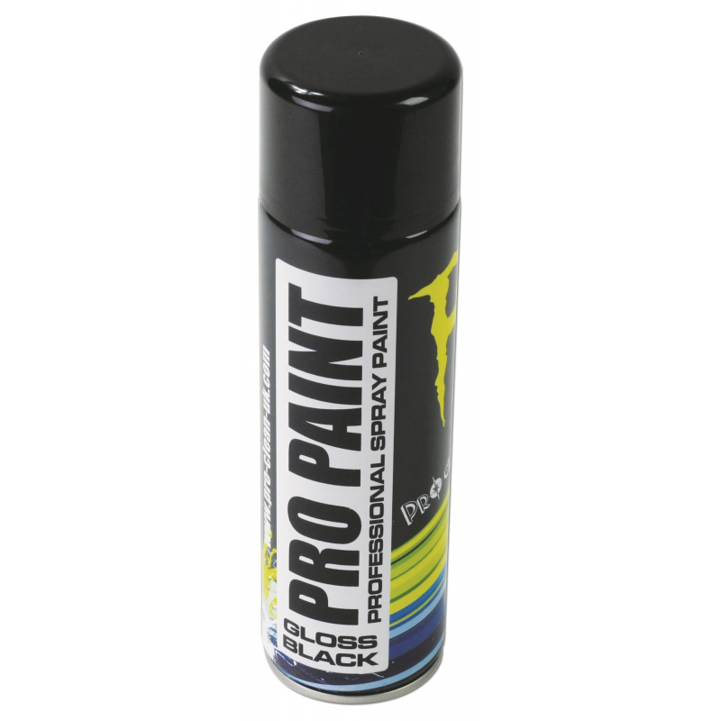 PRO PAINT PEINTURE PROFESSIONNELLE NOIR BRILLANT