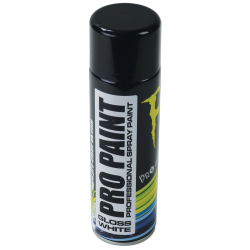 Aérosol PRO PAINT peinture...