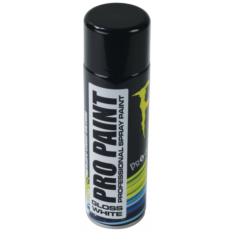 PRO PAINT PEINTURE PROFESSIONNELLE BLANC BRILLANT