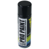 PRO PAINT PEINTURE PROFESSIONNELLE BLANC BRILLANT