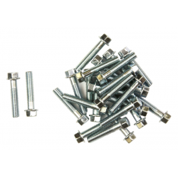 FLANGE HEAD BOLTS M6x30...