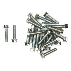 FLANGE HEAD BOLTS M6x25...