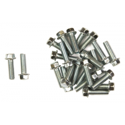 FLANGE HEAD BOLTS M6x20...