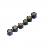 VIPER SCOOTER SILENCER ROLLER SET 17*12 5.50G 6PCS     4100104