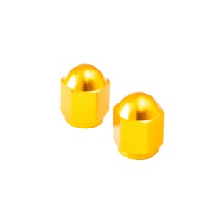 BOUCHONS DE VALVE...