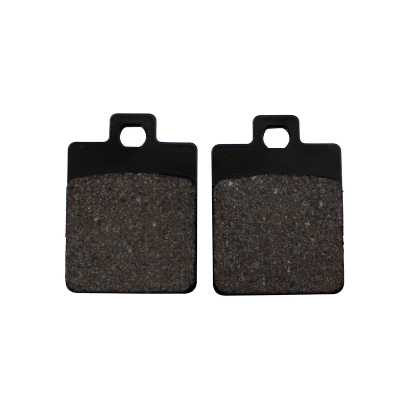 Plaquettes de frein AP Racing pour scooter 1207 FA498 SBS
