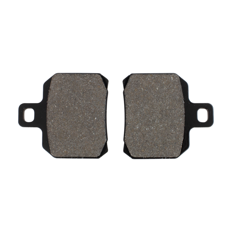 Plaquettes de frein AP Racing pour scooter bio 1162 FA266 SBS