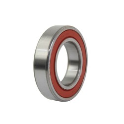 ROULEMENT NTN 6007DDU  2RS...